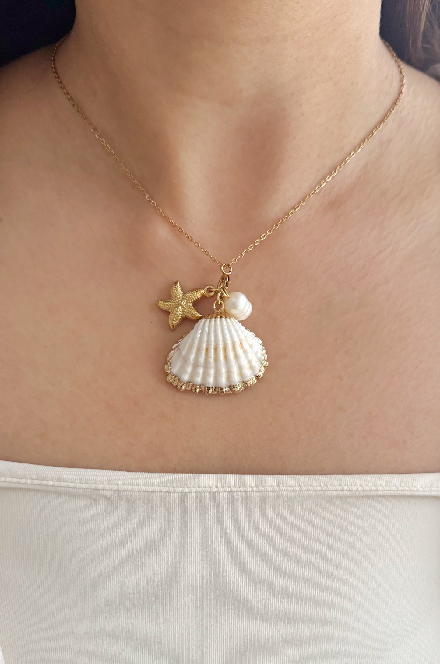 Seashell Necklace image 0