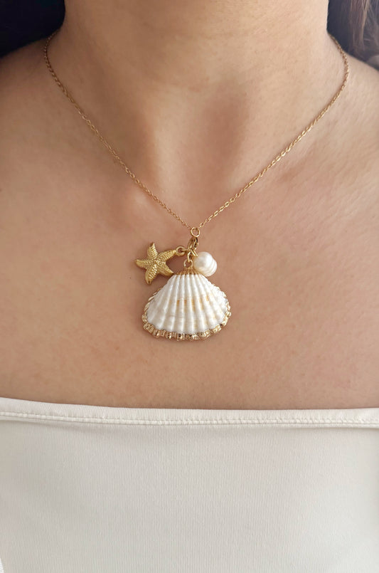 Seashell Necklace image 0