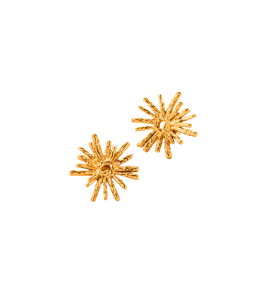 Ray Earrings image 0
