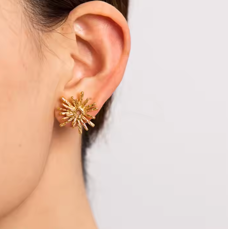 Ray Earrings image 1